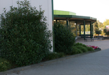 Hennef Warth - Neubau Gartencenter Bröltalstraße